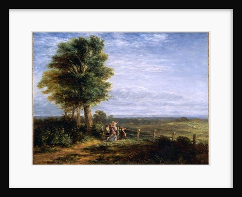 The Skylark, 1849 by David Cox