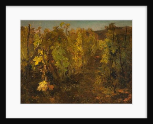 La Vigne, 1860-1863 by Charles Francois Daubigny