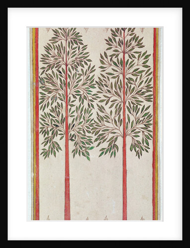 Trees by American School