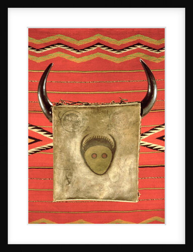 Navajo buffalo moon blanket by School American