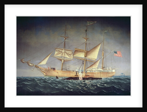 The 'Catalpa' with whale by American School