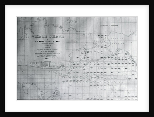 Whale Chart of the North Pacific, 1851 by American School