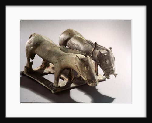 Ordos Nomads by School Chinese