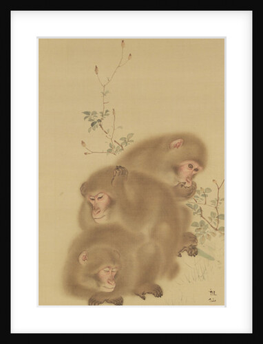 Baboon Family by Japanese School