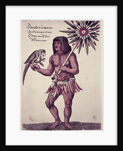 Amazon Indian, engraved by Theodore de Bry by John (after) White