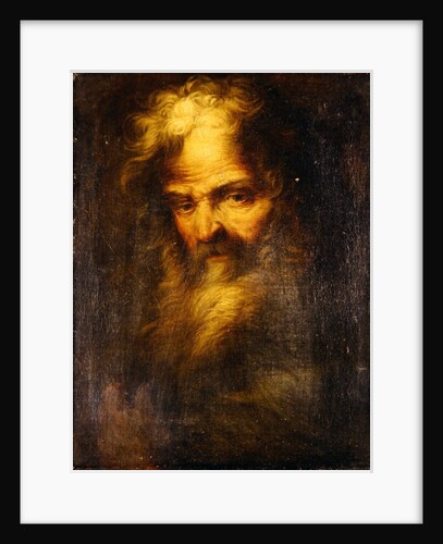 Bearded prophet by Salvator Rosa