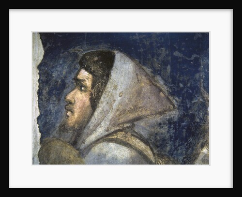 Head of a shepherd by Giotto