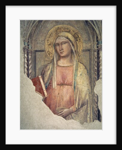 Madonna del Parto by Taddeo Gaddi
