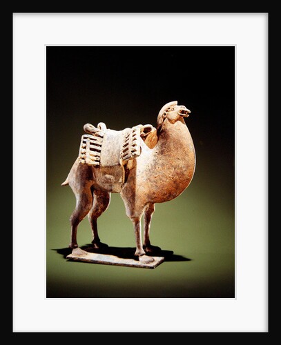 Camel, mid to late 6th century, Northern Wei-Northern Qi dynasty by Chinese School