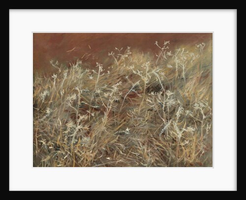 Thistles, 1885-89 by John Singer Sargent