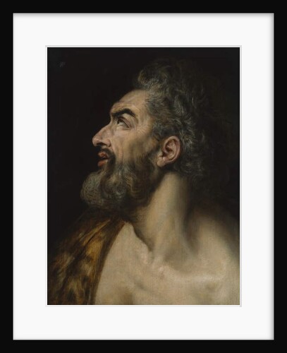 Study head of a bearded man, c.1565 by Frans Floris