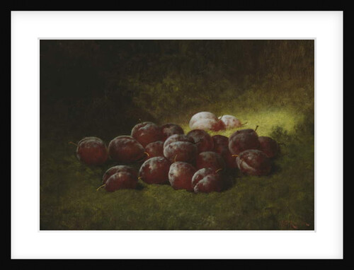 Purple Plums, 1895 by Carducius Plantagenet Ream