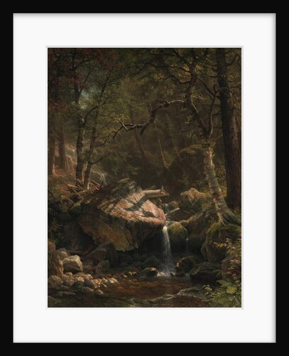 Mountain Brook, 1863 by Albert Bierstadt