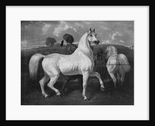 Arabian Horses, 19th century by Eugene Fromentin