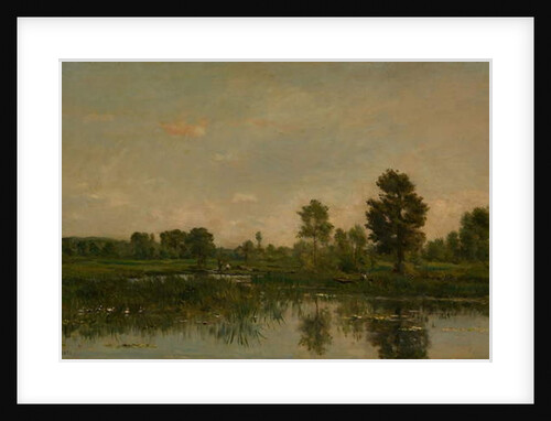 The Marsh, 1871 by Charles Francois Daubigny