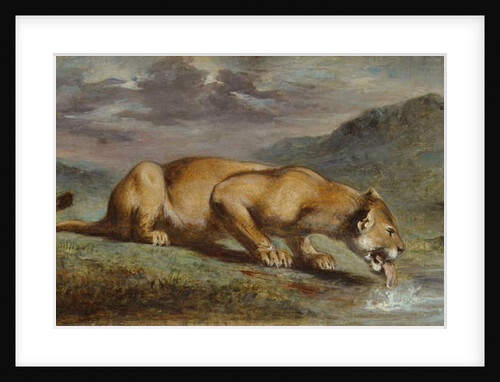 Wounded Lioness, 184050 by Pierre Andrieu