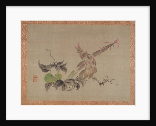 Apple and flowering plant, 1851 by Tsubaki Chinzan