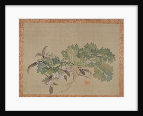 A tuberose, 1851 by Tsubaki Chinzan