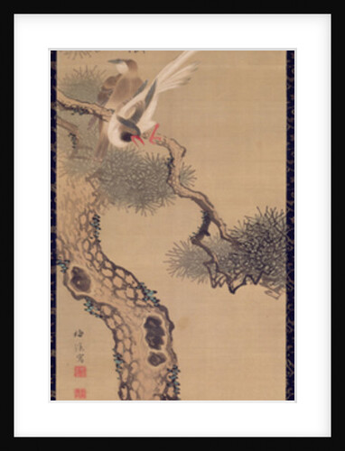 Long-tailed birds in pine tree, c.1800 by Ariwara Baikei