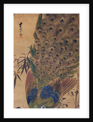 Peacock and bamboo by Japanese School