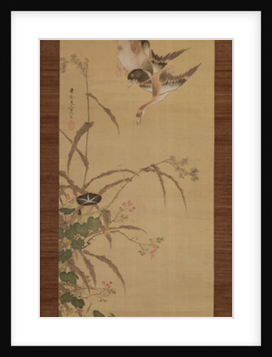 Ducks, flowers and grasses, c.1800-22 by Gentai Sanjin