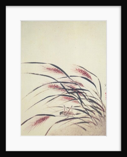 Ears of rice and cricket by Shibata Zeshin