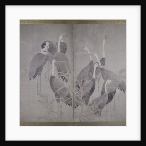 Eleven female cranes standing in dry reed bed, c.1700-50 by Ogata Korin