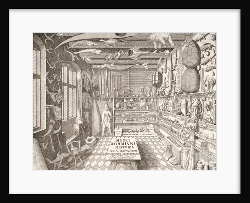 Museum of Ole Worm, Leiden, 1655 by G. Wingendorp