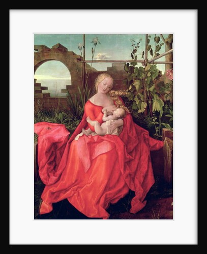 Virgin and Child 'Madonna with the Iris', 1508 by Albrecht Durer or Duerer