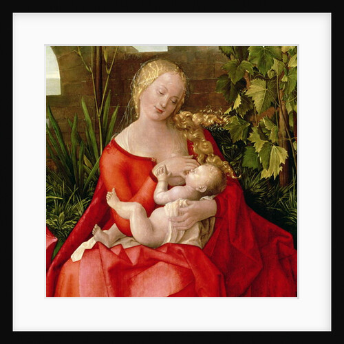 Virgin and Child 'Madonna with the Iris', 1508 by Albrecht Durer or Duerer