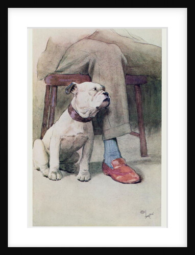 Bulldog by Cecil Charles Windsor Aldin
