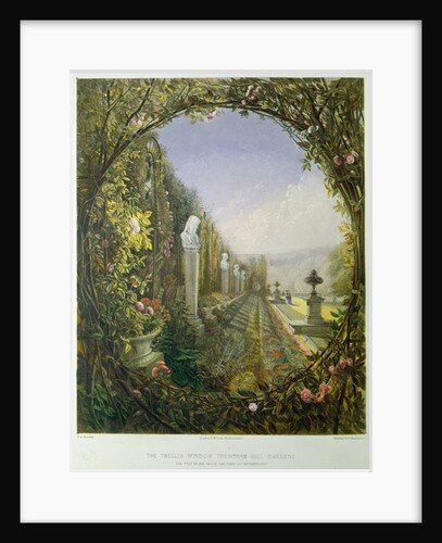 The Trellis Window, Trentham Hall Gardens by E. Adveno Brooke