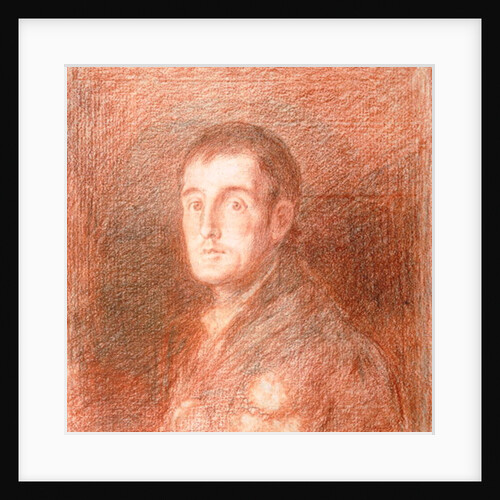 Study for an equestrian portrait of the Duke of Wellington c.1812 by Francisco Jose de Goya y Lucientes