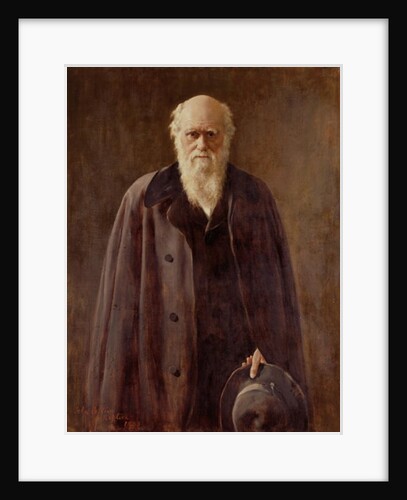 Portrait of Charles Darwin, 1883 by John Collier