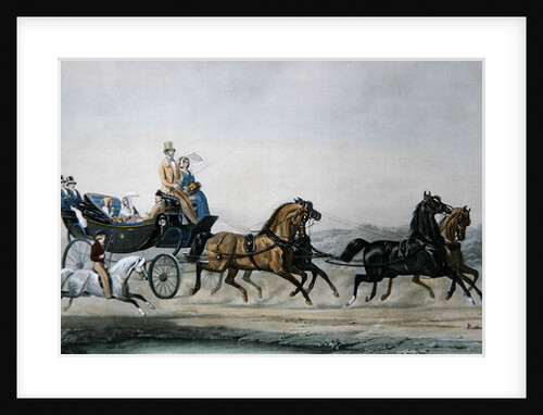 The Walk by James Barenger