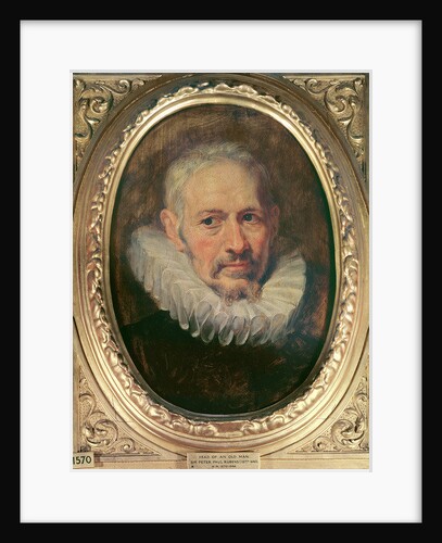 Head of an Old Man by Peter Paul Rubens