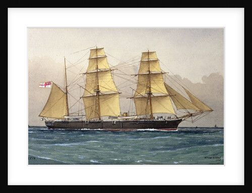 The Wild Swan, 1906 by William Frederick Mitchell
