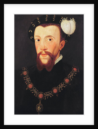 Portrait of Henry Howard, 1546 by School English