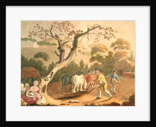 View of ploughing, sowing flax seed and harrowing, 1791 by William Hincks