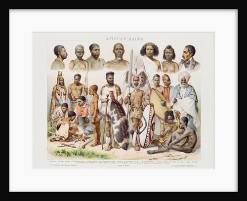 African Races by School English