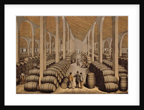 Wine Cellar at Jerez de la Frontera by School Spanish