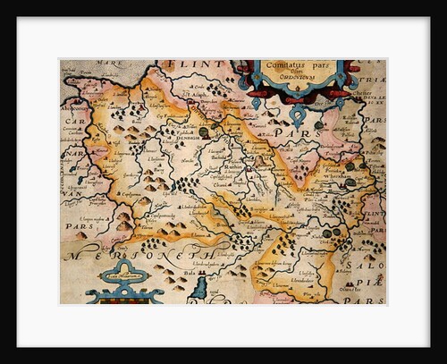 Map of Denbigh and Flint by Christopher Saxton