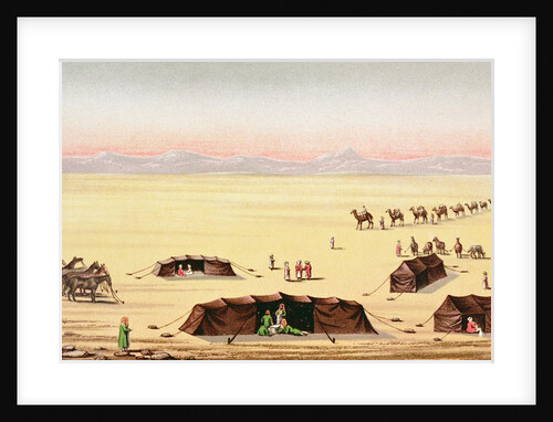 Our Desert Camp by School English