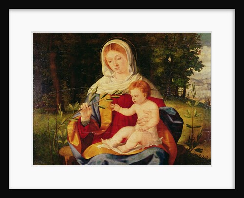 The Virgin and Child with a shoot of Olive, c.1515 by Andrea Previtali