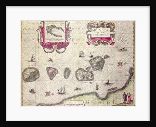Map of The Moluccan Island by Willem Blaeu