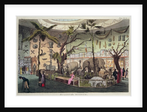 Bullock's Museum by School English