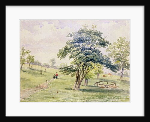View of the North Part of Hyde Park, 1820 by English School