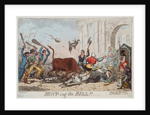 Hunting the Bull, 1817 by George Cruikshank