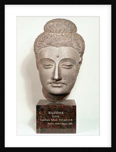Head from a statue of the Buddha, from Gandhara, north-west India by Indian School