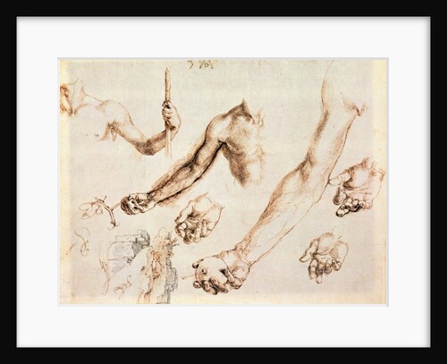 Study of male hands and arms by Albrecht Dürer or Duerer
